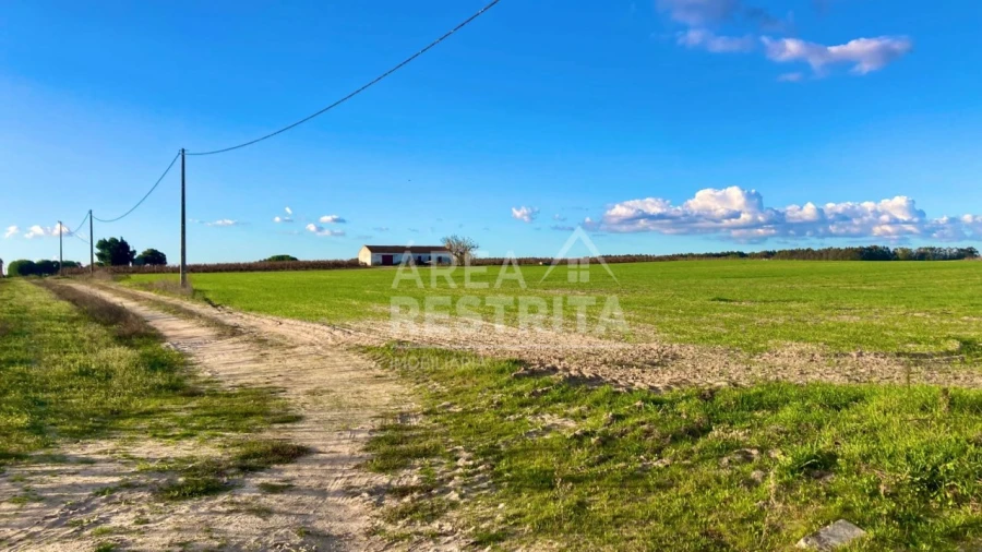 Terreno para Venda em Poceirão e Marateca Foto 16