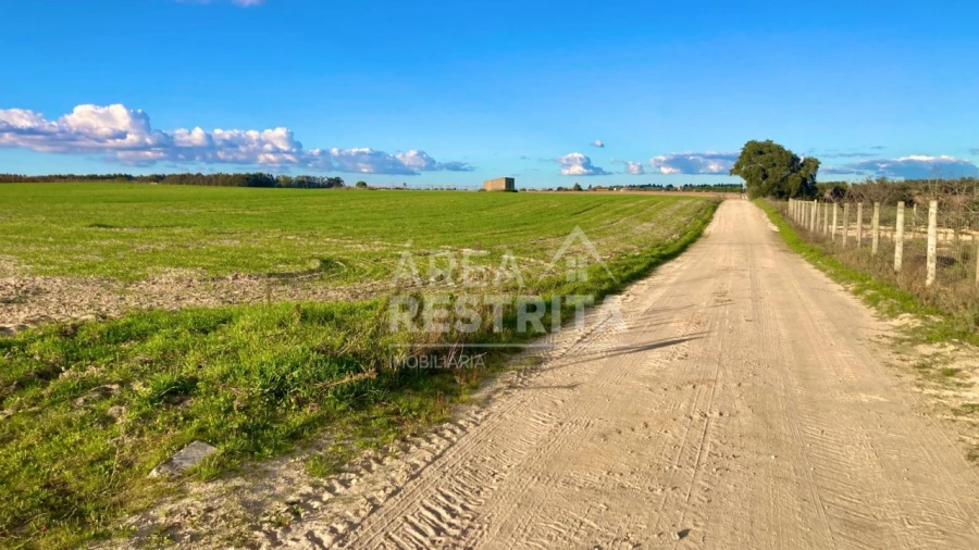 Terreno para Venda em Poceirão e Marateca Foto 17