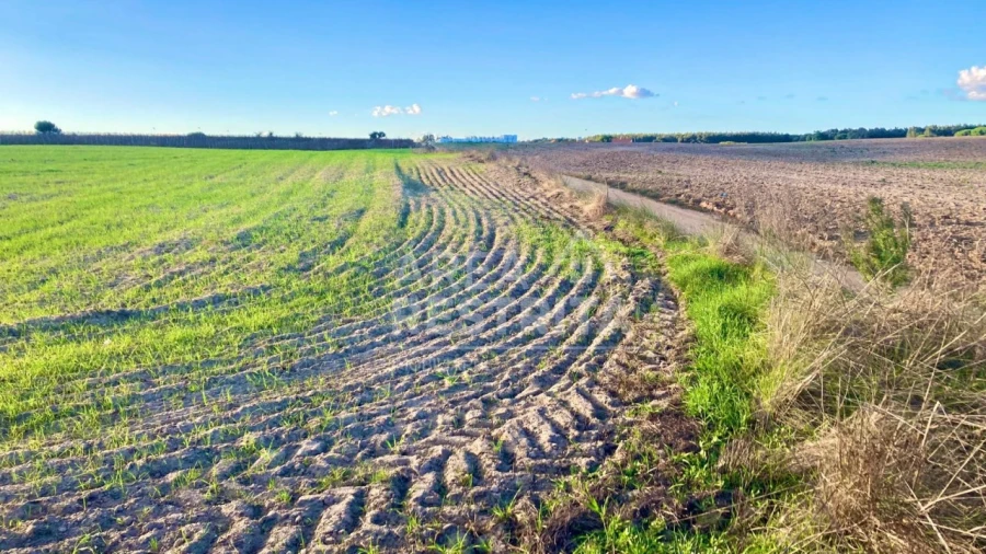 Terreno para Venda em Poceirão e Marateca Foto 21