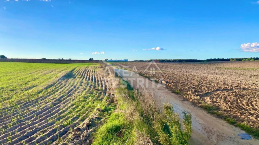 Terreno para Venda em Poceirão e Marateca Foto 22