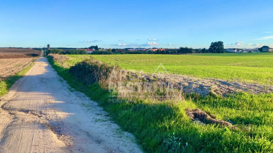 Terreno para Venda em Poceirão e Marateca Foto 23