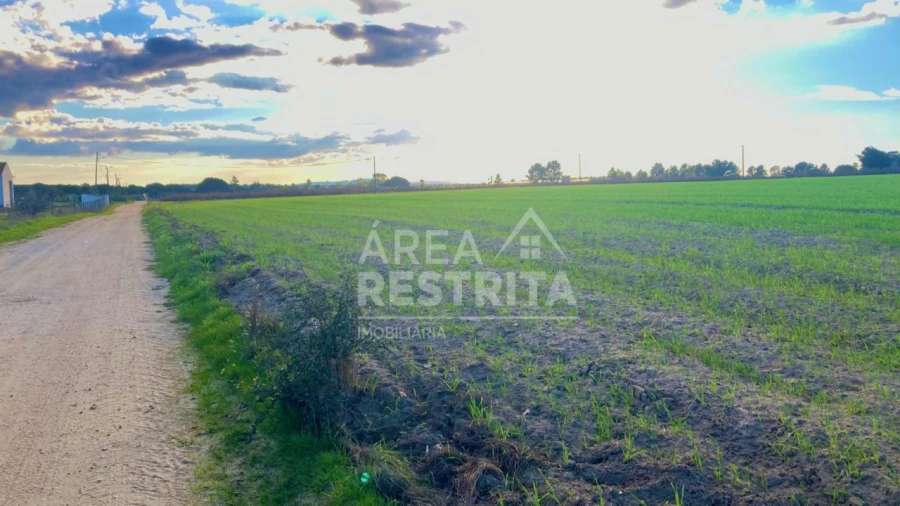 Terreno para Venda em Poceirão e Marateca Foto 24