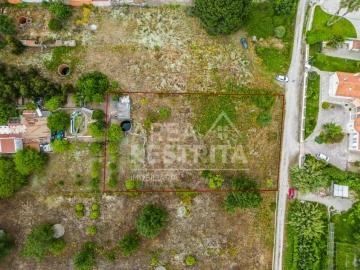 Terreno para Venda em Azeitão (São Lourenço e São Simão)
