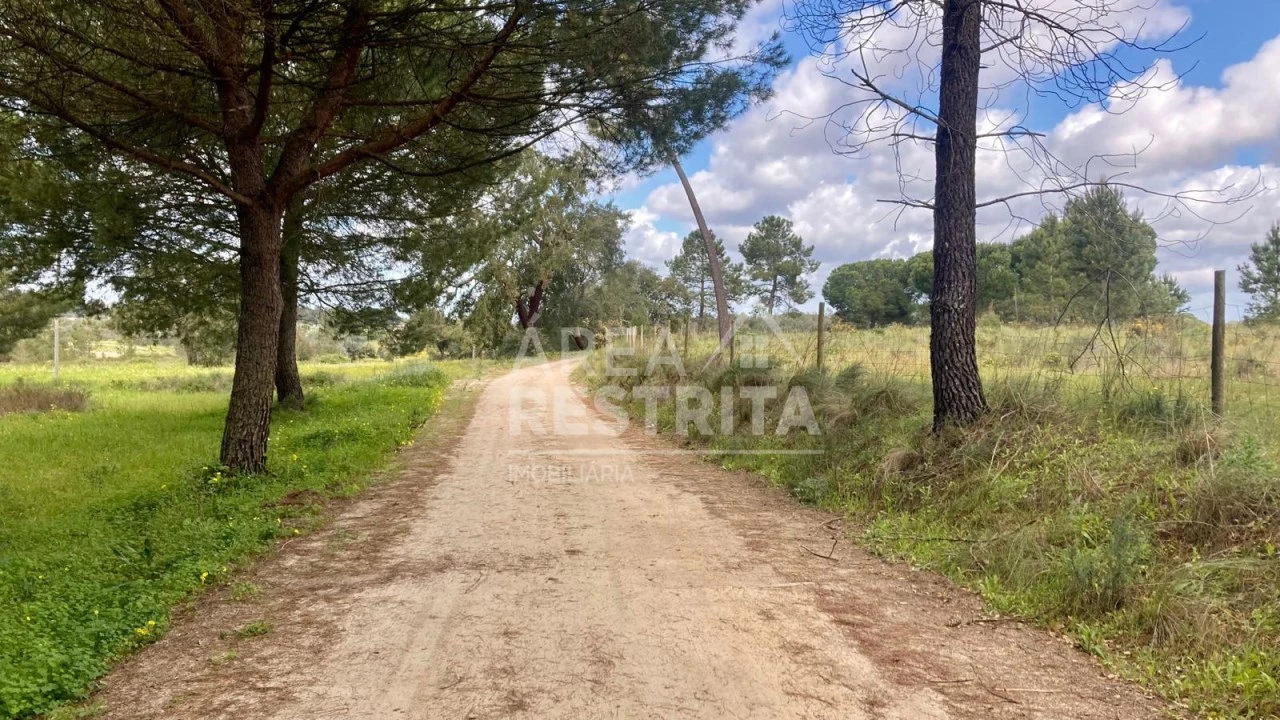 Terreno para Venda em Canha Foto 6