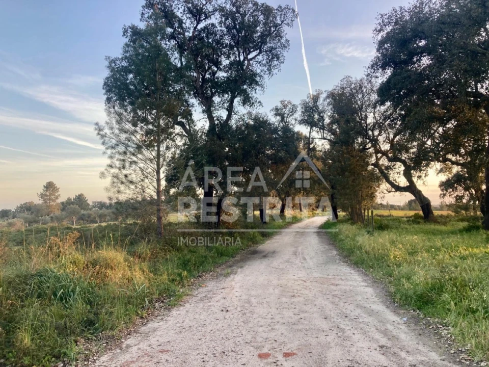 Terreno para Venda em Canha Foto 9