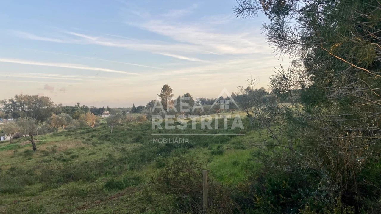 Terreno para Venda em Canha Foto 15