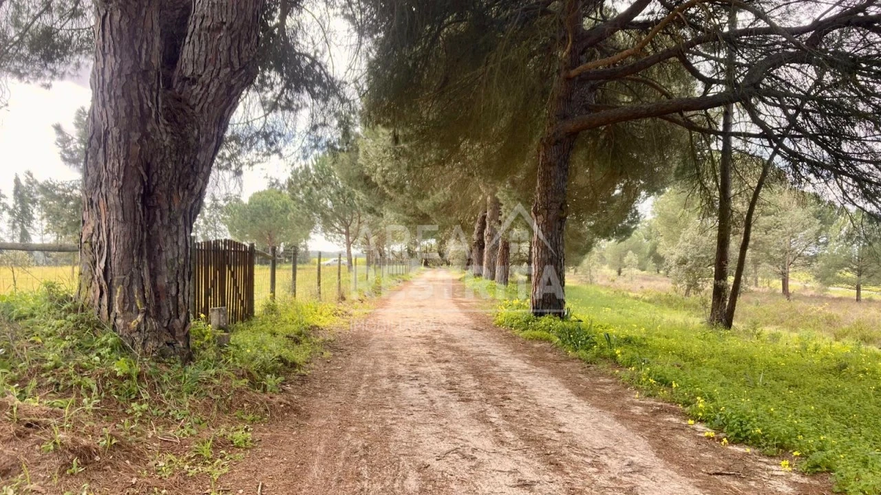 Terreno para Venda em Canha Foto 23