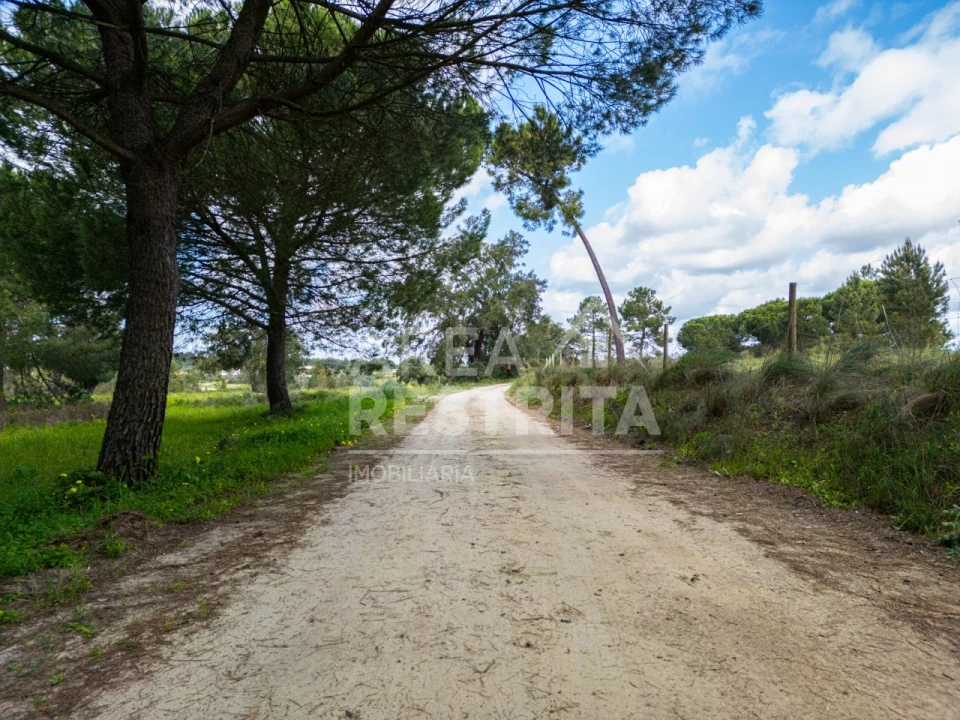 Terreno para Venda em Canha Foto 34