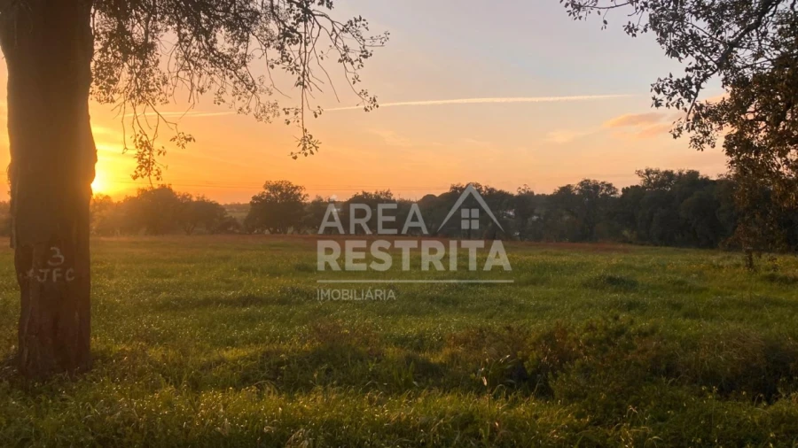 Terreno para Venda em Canha Foto 5