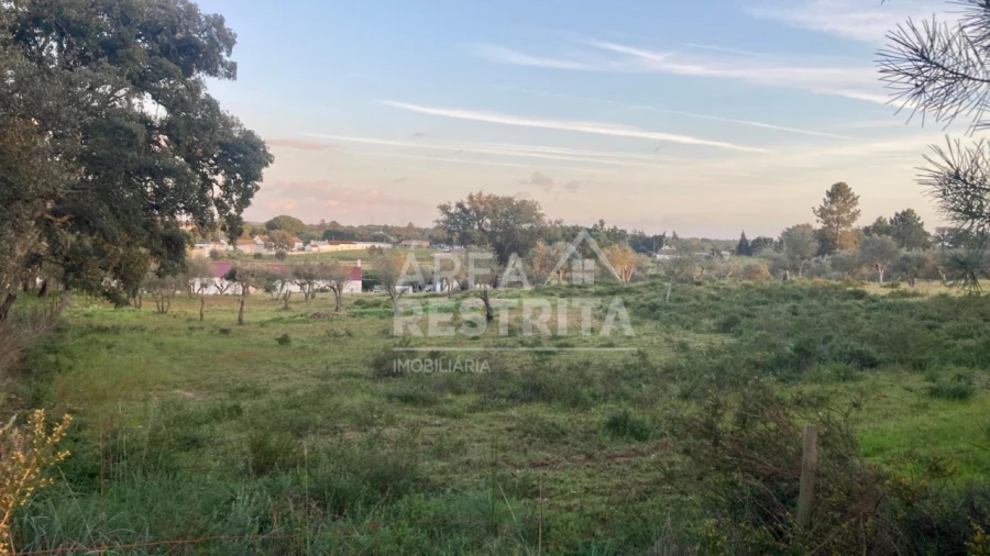 Terreno para Venda em Canha Foto 12