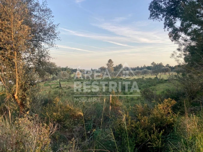 Terreno para Venda em Canha Foto 13