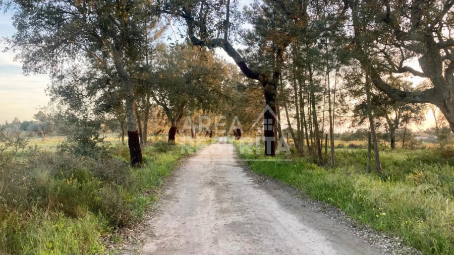Terreno para Venda em Canha Foto 17