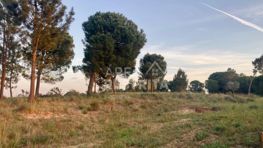 Terreno para Venda em Canha Foto 19