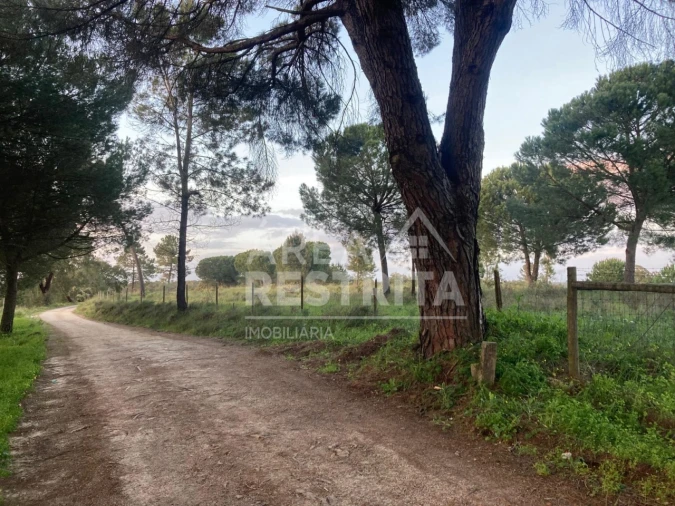 Terreno para Venda em Canha Foto 22