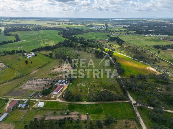Terreno para Venda em Canha Foto 26