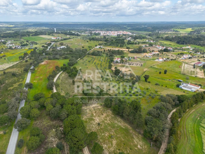 Terreno para Venda em Canha Foto 30