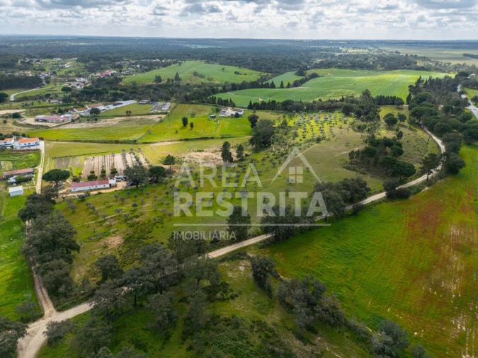 Terreno para Venda em Canha Foto 32