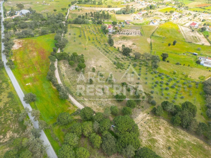 Terreno para Venda em Canha Foto 33