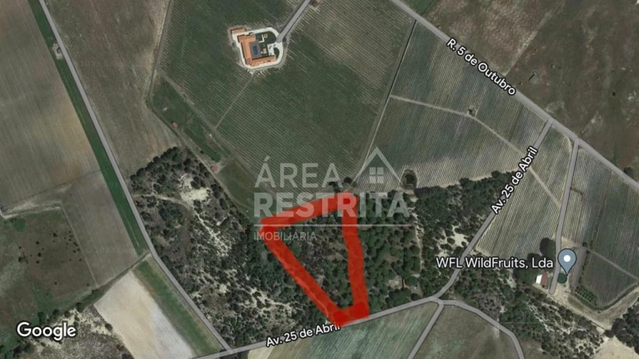 Terreno para Venda em Pegões Foto 2