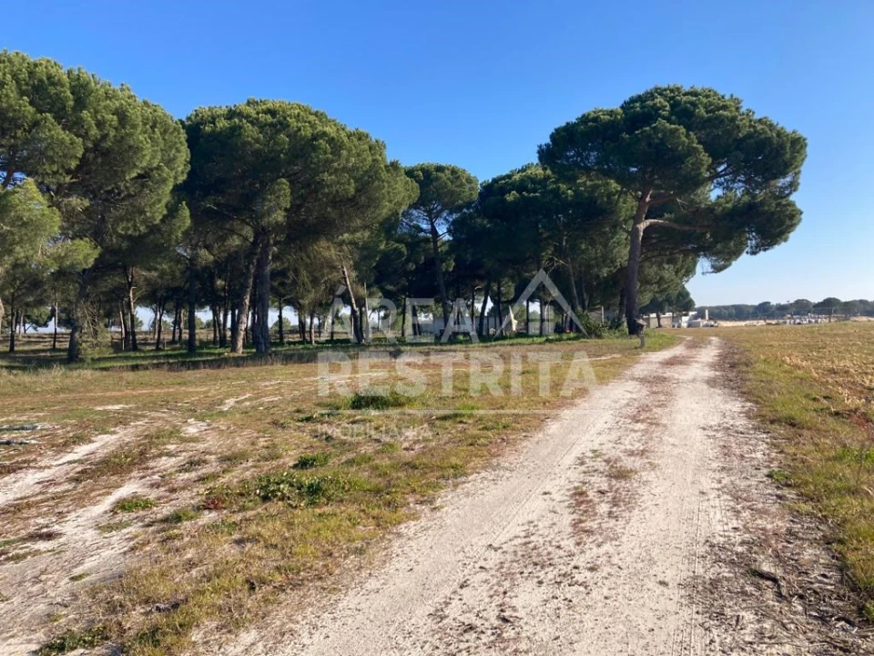 Terreno para Venda em Pegões Foto 5
