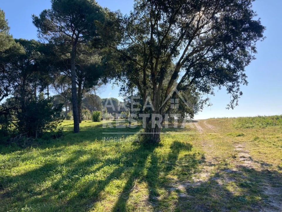 Terreno para Venda em Pegões Foto 10