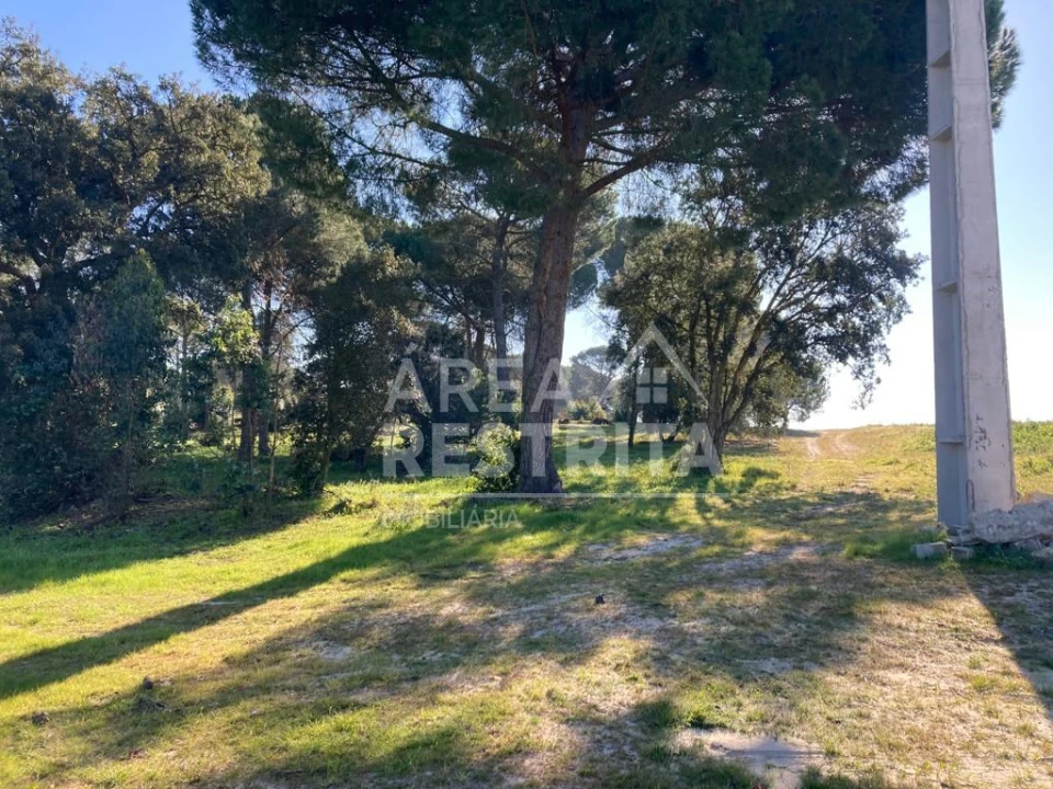 Terreno para Venda em Pegões Foto 12