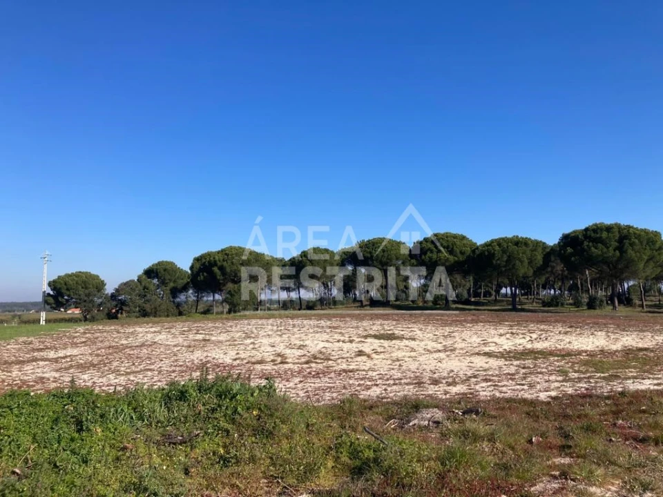 Terreno para Venda em Pegões Foto 28