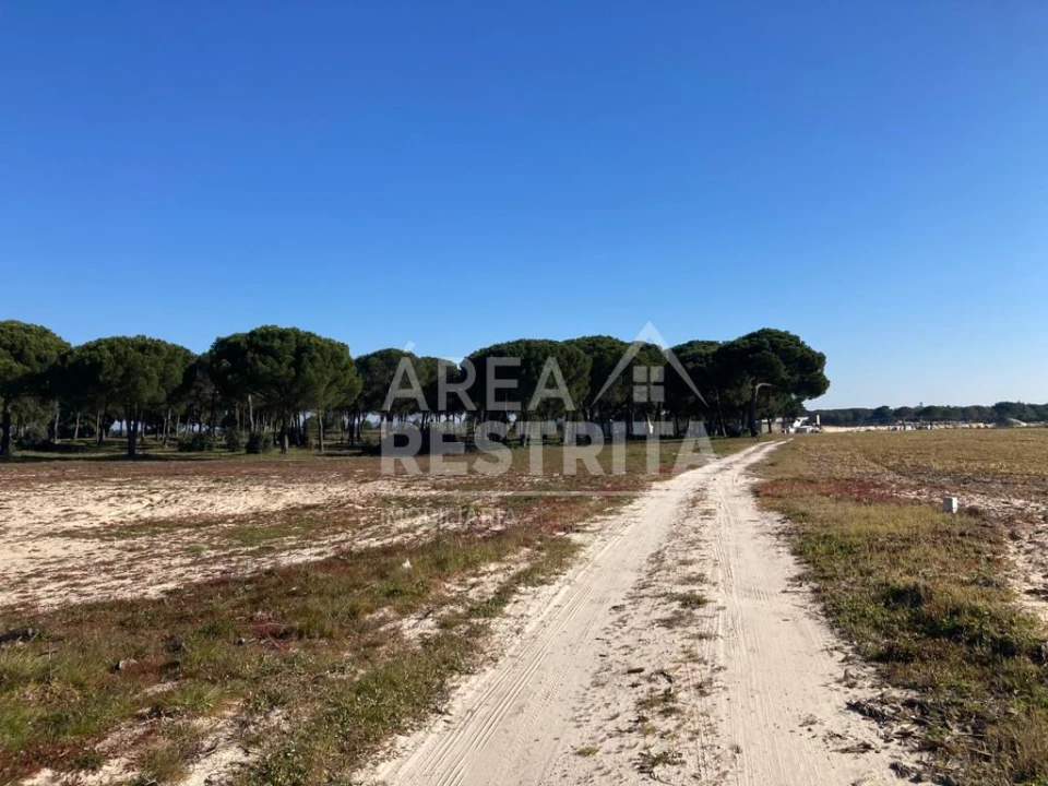 Terreno para Venda em Pegões Foto 29