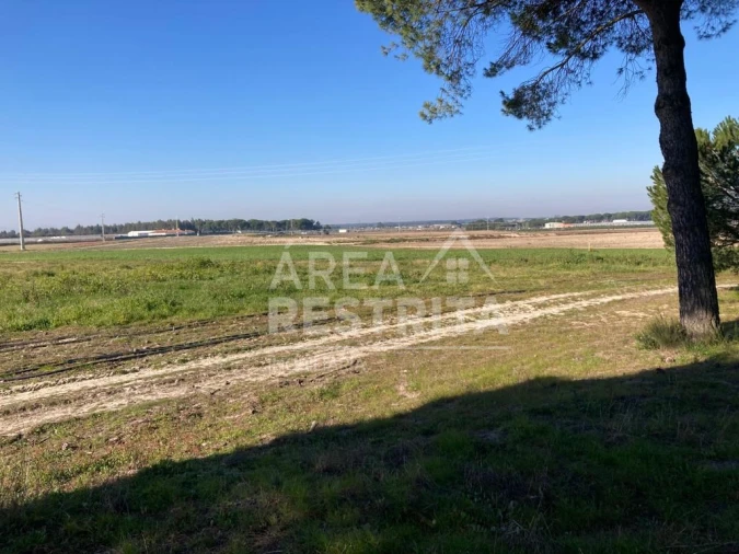 Terreno para Venda em Pegões Foto 9