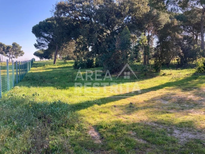 Terreno para Venda em Pegões Foto 11