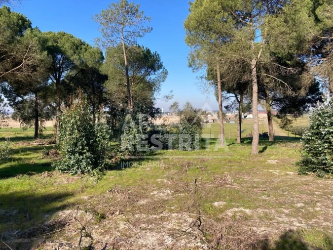 Terreno para Venda em Pegões Foto 13