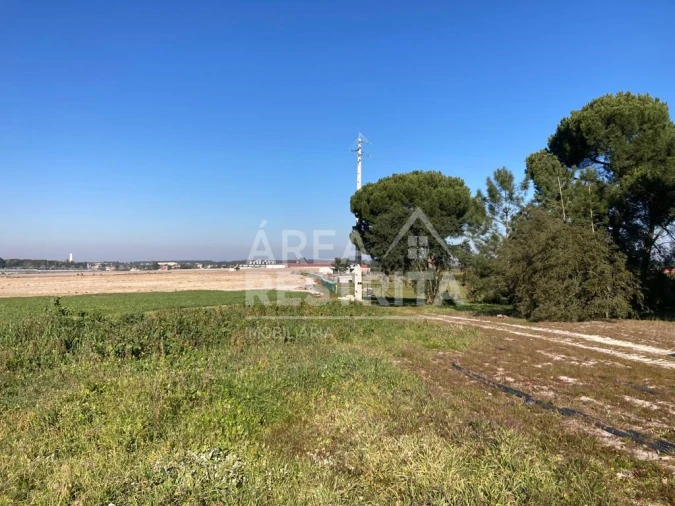 Terreno para Venda em Pegões Foto 21