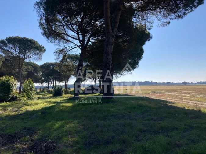 Terreno para Venda em Pegões Foto 23
