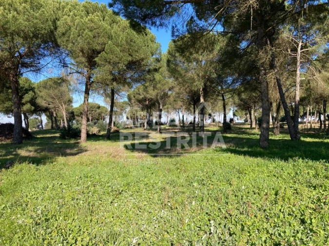 Terreno para Venda em Pegões Foto 25