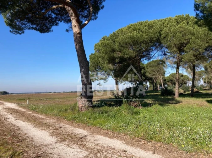 Terreno para Venda em Pegões Foto 26