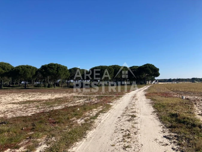 Terreno para Venda em Pegões Foto 29