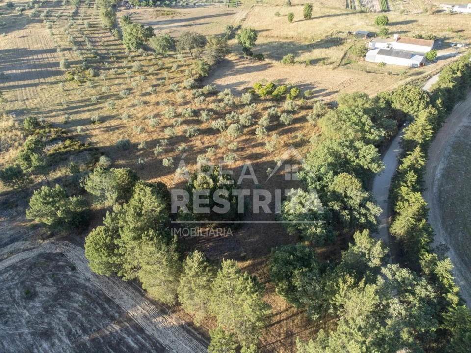 Terreno para Venda em Canha Foto 5