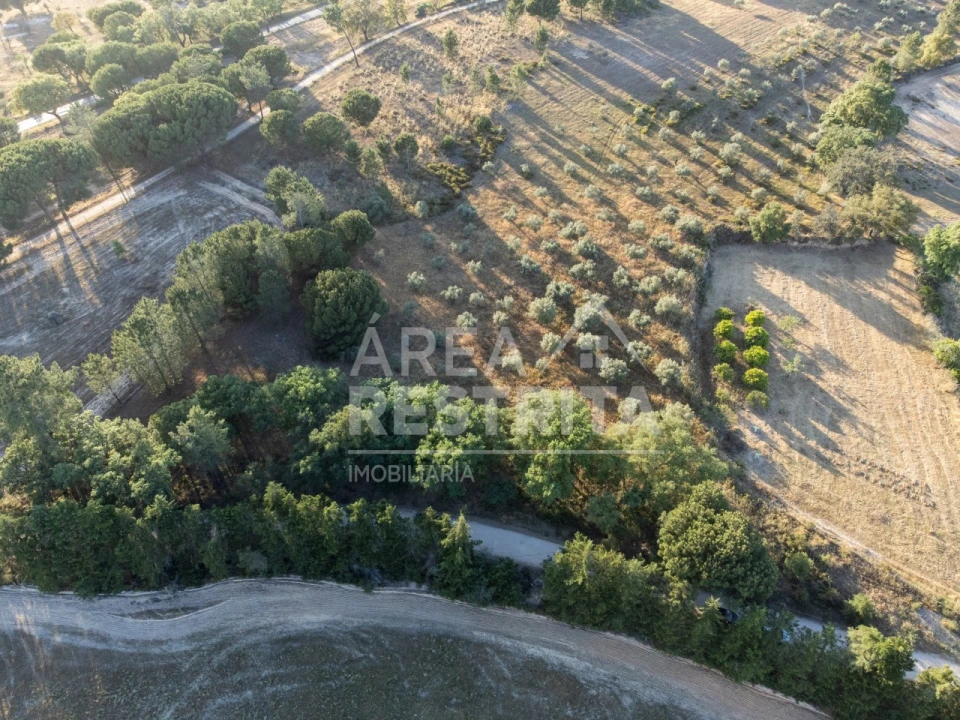 Terreno para Venda em Canha Foto 7
