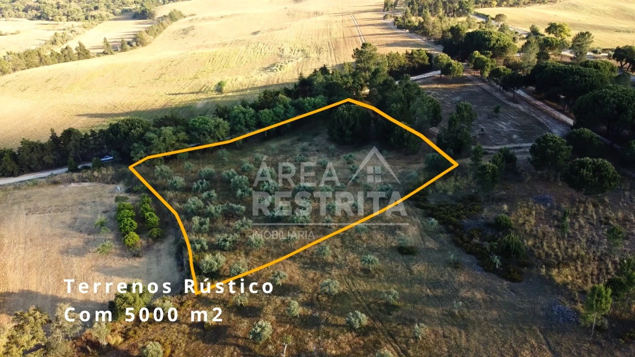 Terreno para Venda em Canha Foto 1