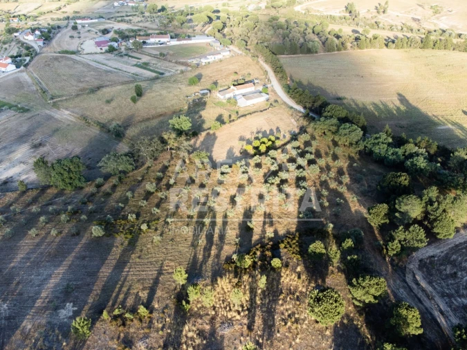 Terreno para Venda em Canha Foto 4