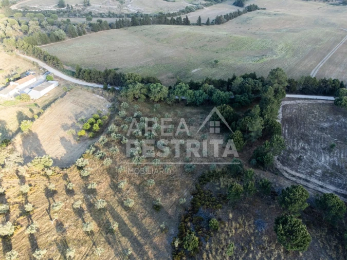 Terreno para Venda em Canha Foto 6