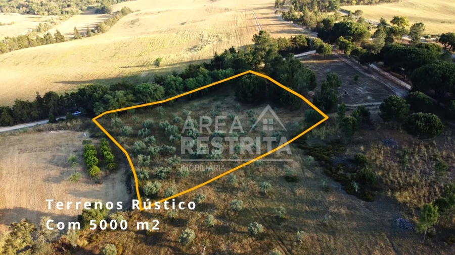 Terreno para Venda em Canha