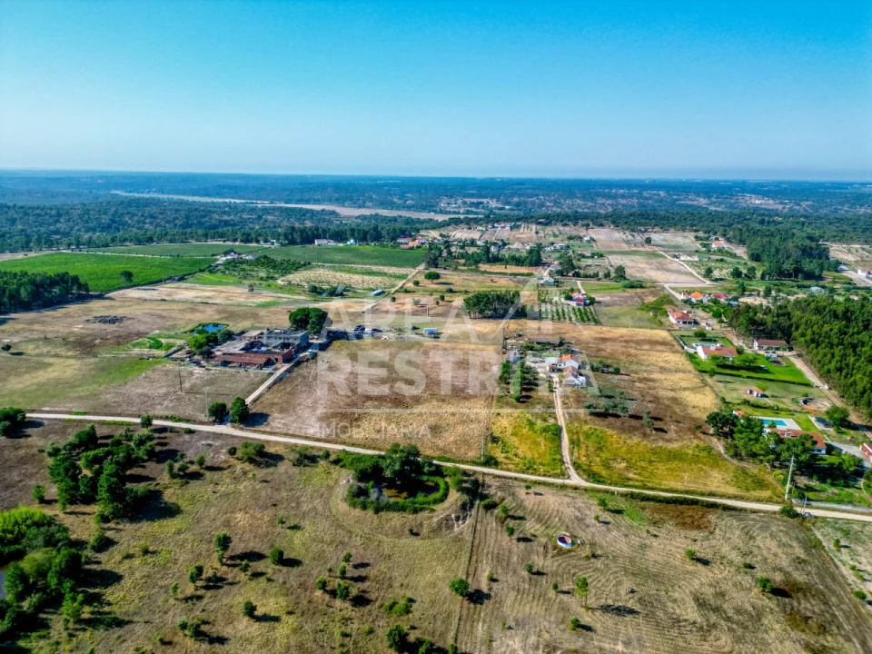 Terreno para Venda em Branca Foto 7