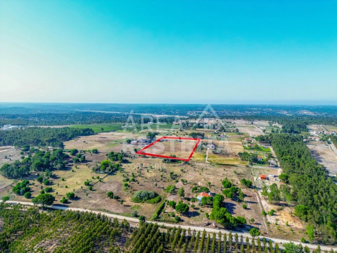 Terreno para Venda em Branca Foto 11