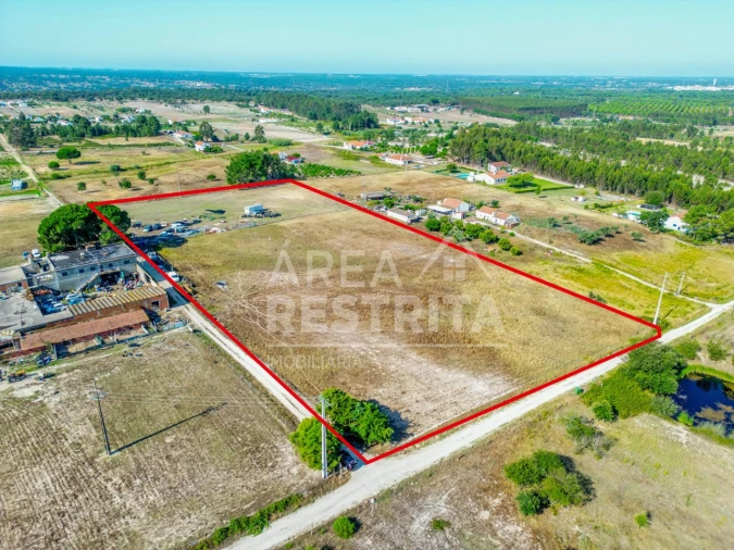 Terreno para Venda em Branca Foto 23