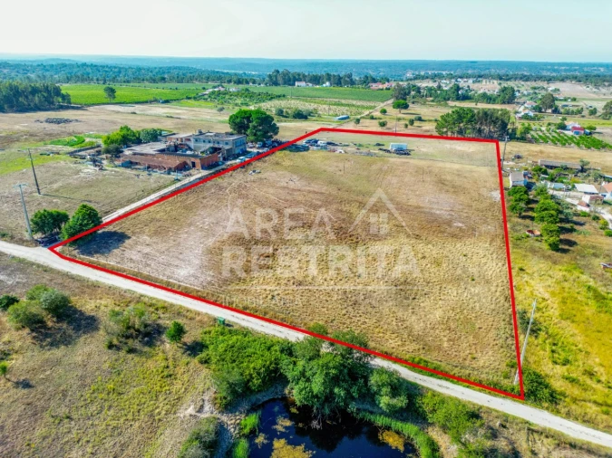 Terreno para Venda em Branca Foto 25