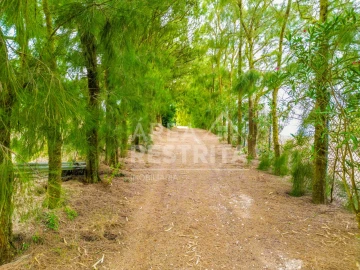 Terreno para Venda em Sesimbra (Castelo)