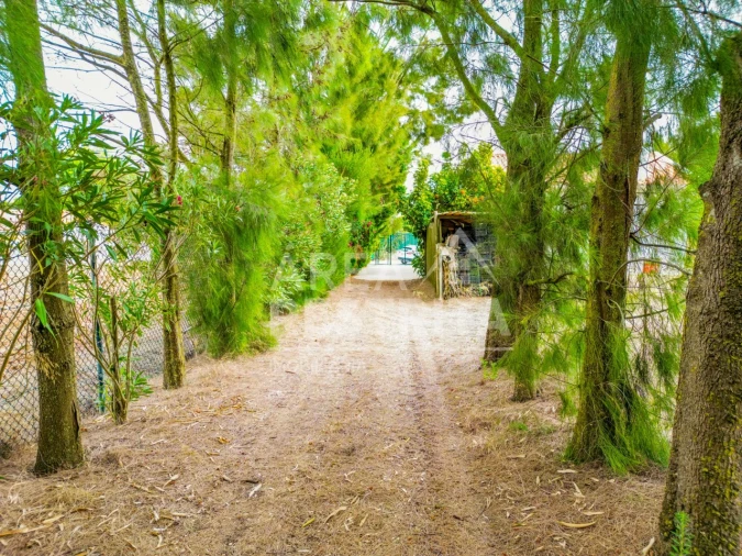Terreno para Venda em Sesimbra (Castelo) Foto 21