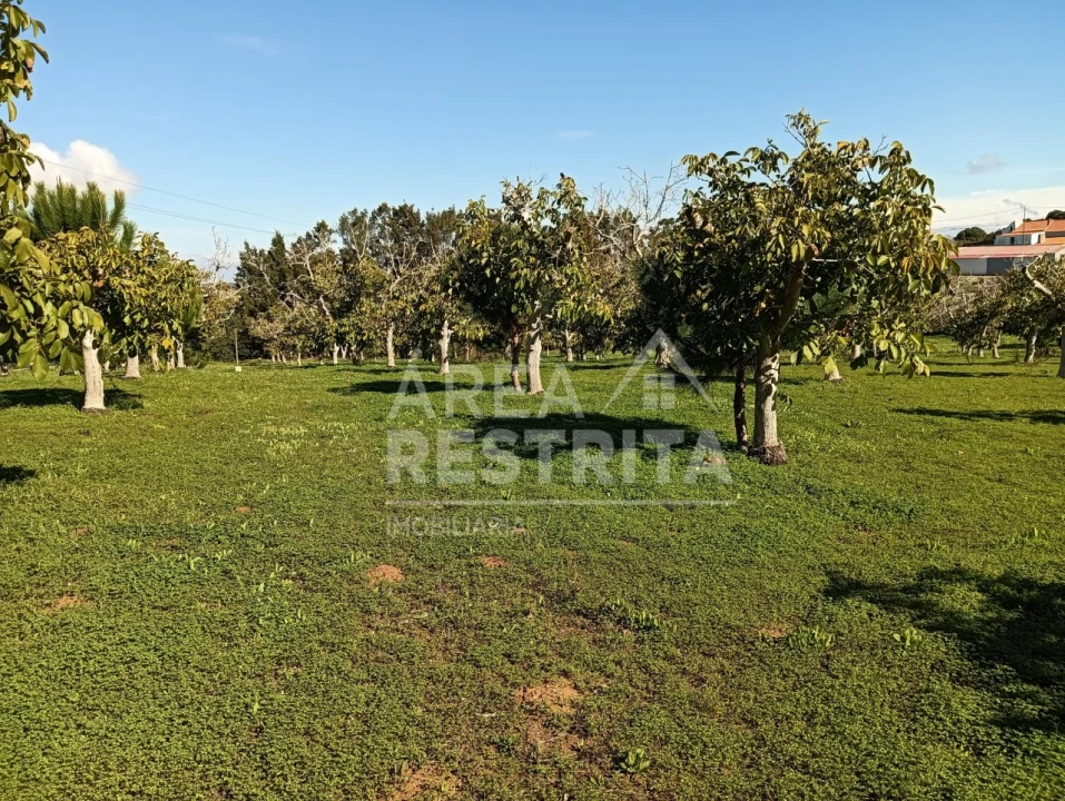 Terreno para Venda em Sesimbra (Castelo) Foto 10