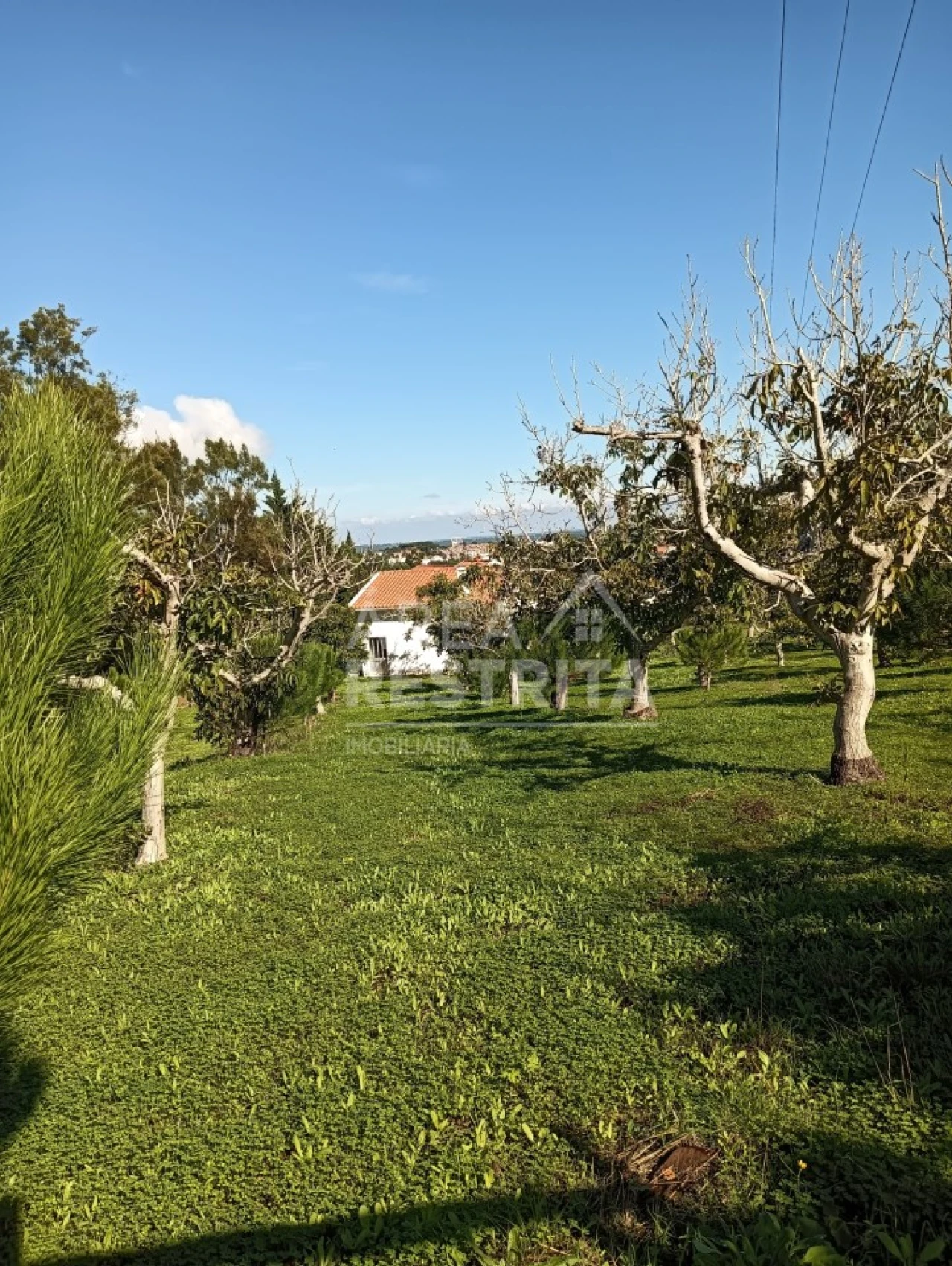 Terreno para Venda em Sesimbra (Castelo) Foto 8
